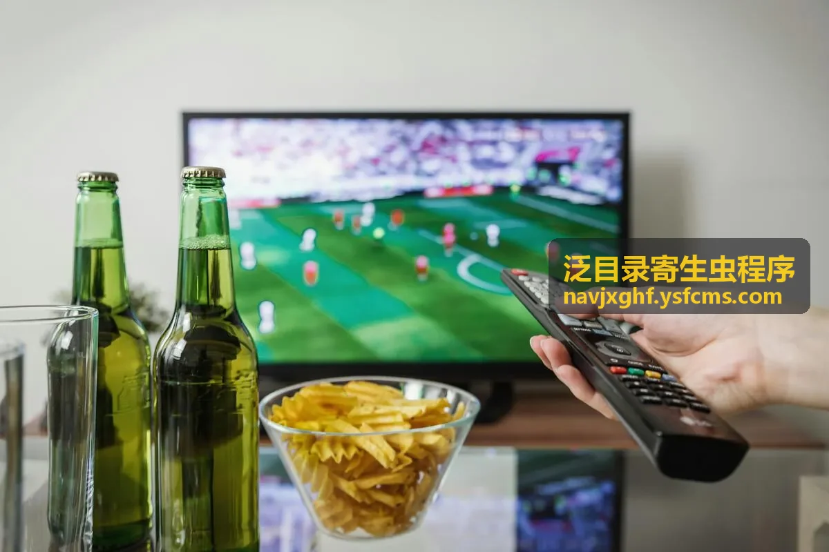 SEO单页站群系统异常目录检查示意
