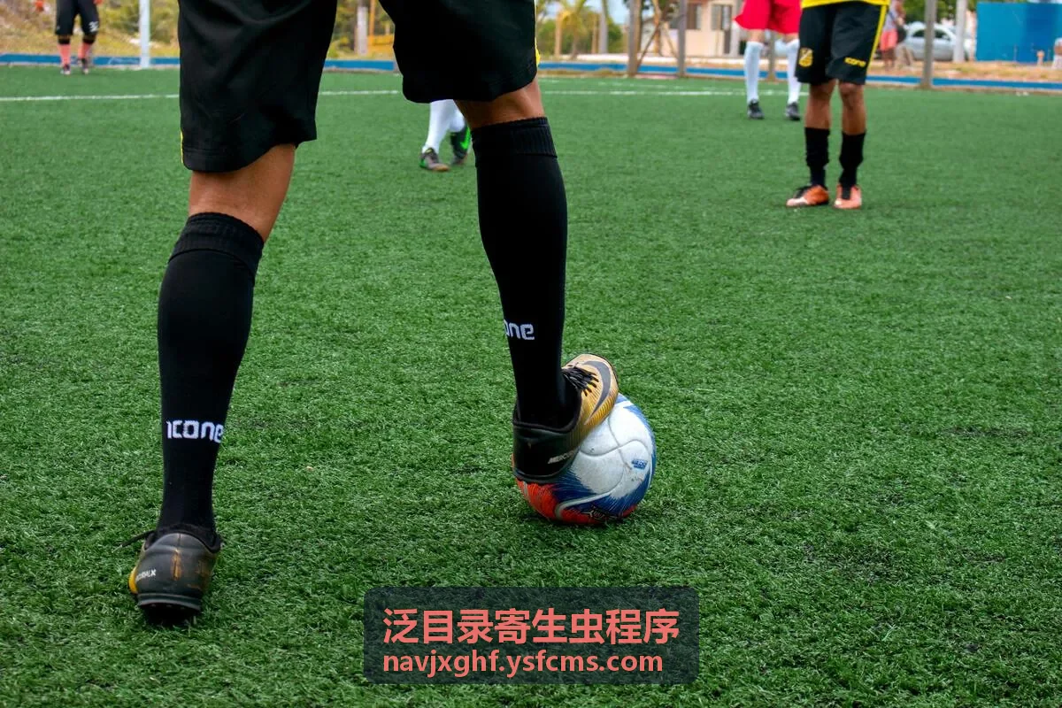SEO单页站群系统陌生页面收录排查